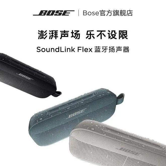 聆听天籁之音尽享音乐盛宴米乐m6十大音响品牌：(图1)
